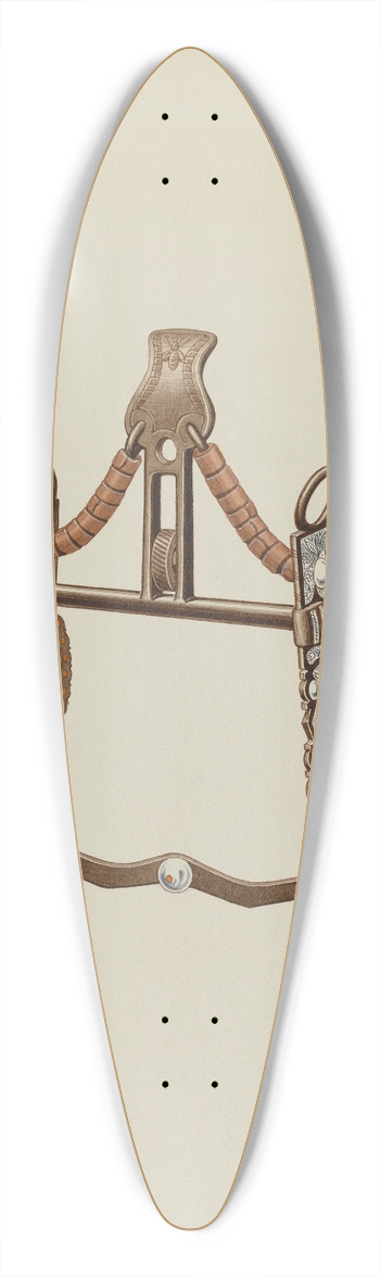 Frank C. Barks - Eagle Bit 39.3 inch art pintail longboard deck