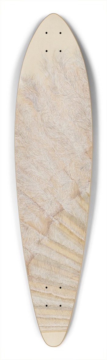 Frank Maurer - Fan 39.3 inch art pintail longboard deck