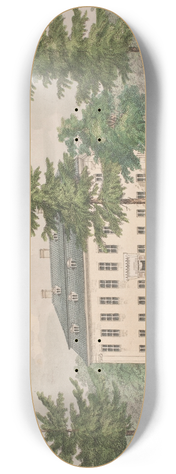 Jens Holm - Charlottenlund Slot 8.25 inch art skate deck