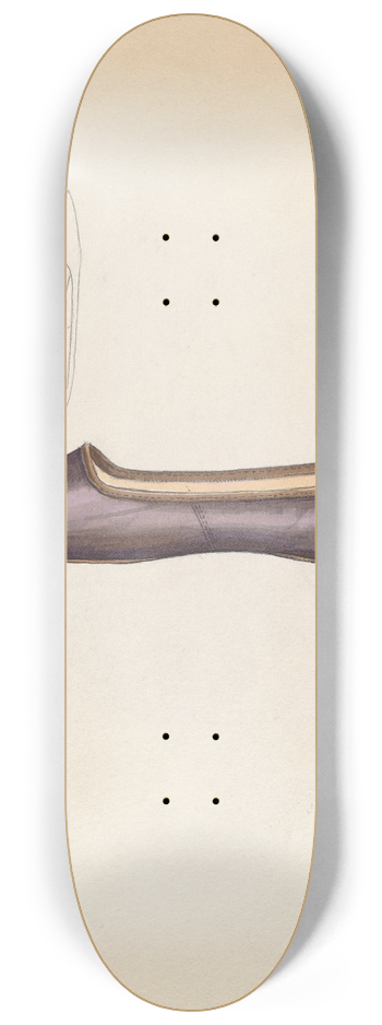 Jessie M. Benge - Shoe 8.25 inch art skate deck