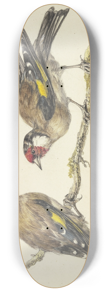 J. H. Van Loon - Two goldfinches 8.25 inch art skate deck