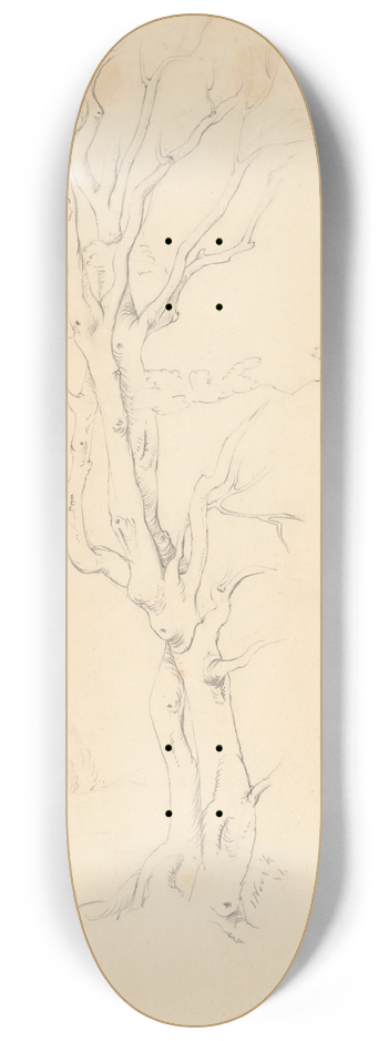 Jn Novk - tdia stromu 8.25 inch art skate deck
