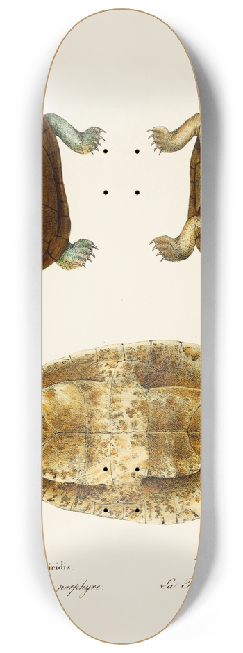 Johann Baptist von Spix - Emys Viridis, Emys Depressa 8.25 inch art skate deck