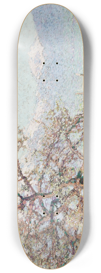 Johann Charles Palmi - Blick auf Dornbirn 8.25 inch art skate deck