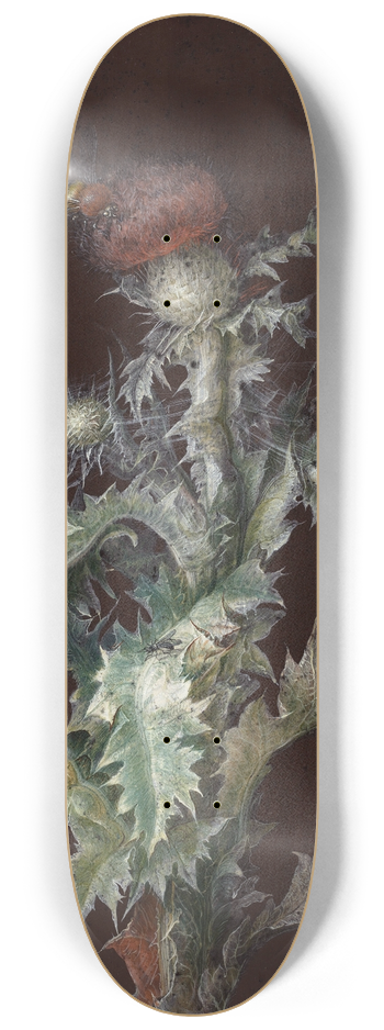Johann Christoph Dietzsch - Thistle with Insects 8.25 inch art skate deck