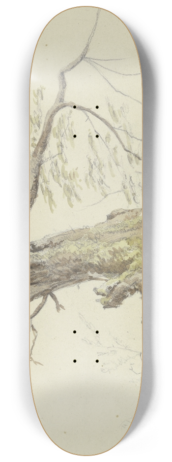 Johann Friedrich Morgenstern - Tree 8.25 inch art skate deck