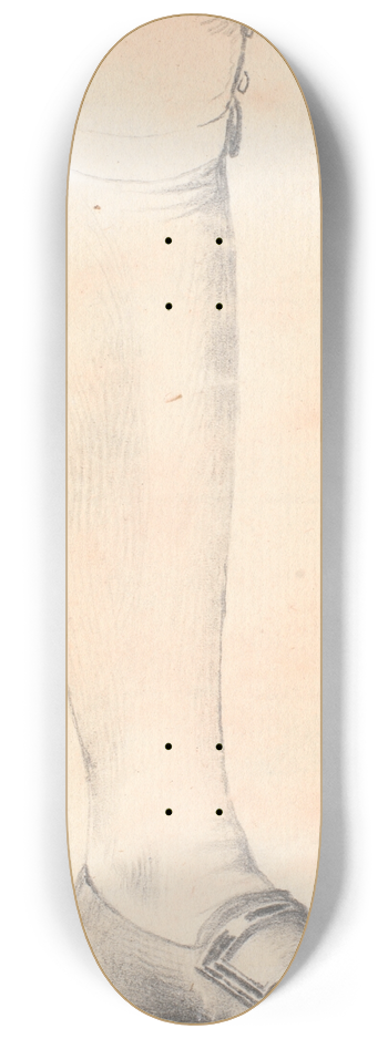 Jens Juel - Studie af en stende mands venstre ben 8.25 inch art skate deck