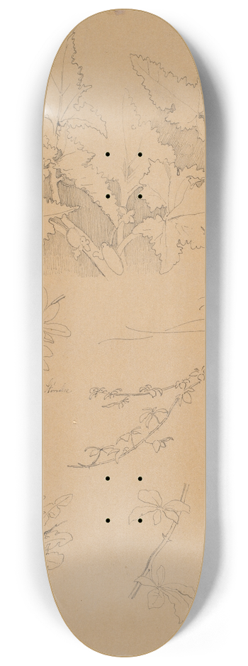 Johan Thomas Lundbye - Blad- og blomsterstudier 8.25 inch art skate deck