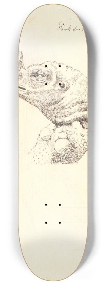 Johan Thomas Lundbye - Hovede af en dd kalkunhne 8.25 inch art skate deck