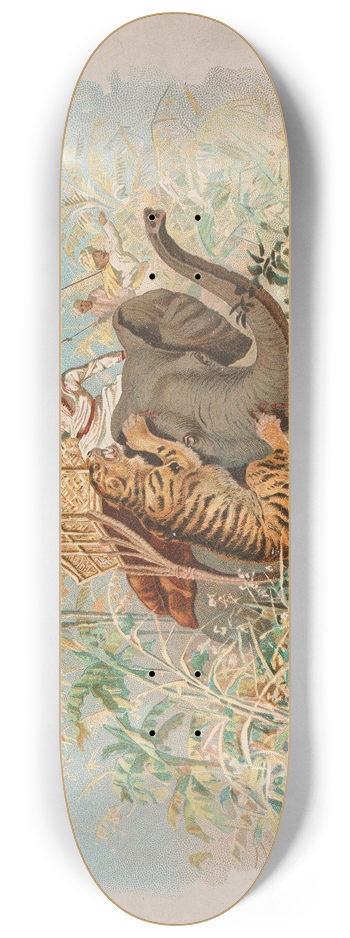John Charlton - Tiger Hunting 8.25 inch art skate deck