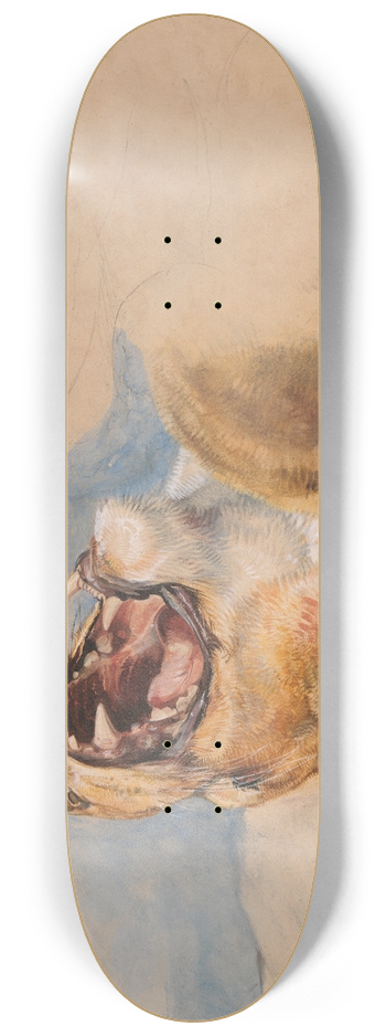 John Frederick Lewis - Study of a Lioness 8.25 inch art skate deck