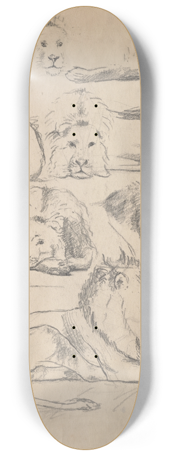 John Haberle - Studies ofLions 8.25 inch art skate deck