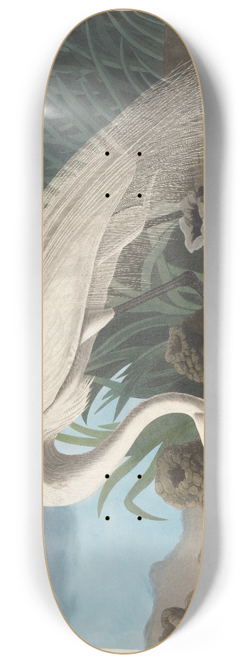 John James Audubon - White heron 8.25 inch art skate deck