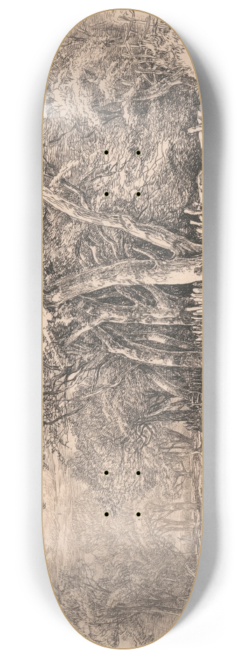 John Middleton - Gunton Park 8.25 inch art skate deck