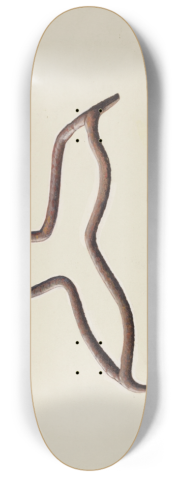 John Petrucci - Flat Iron Stand 8.25 inch art skate deck