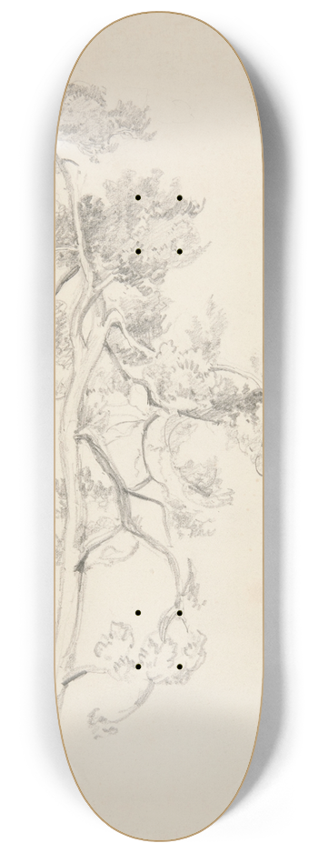 John Singer Sargent - Tree andFoliage 8.25 inch art skate deck