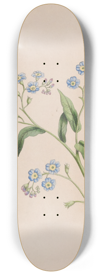 John Stevens Henslow - Grass 8.25 inch art skate deck