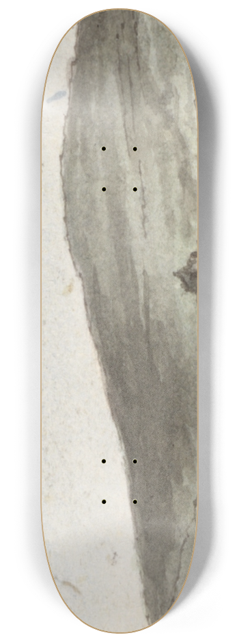 John Thomas Serres - Ram Head, North by West (2 miles distance) 8.25 inch art skate deck