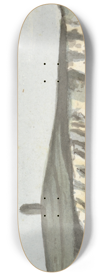 John Thomas Serres - The South Foreland 8.25 inch art skate deck