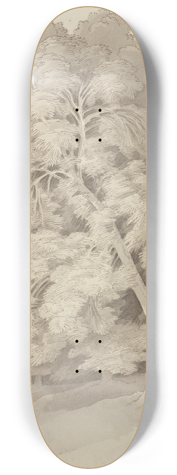 John White Abbott - Trees in a Wood 8.25 inch art skate deck