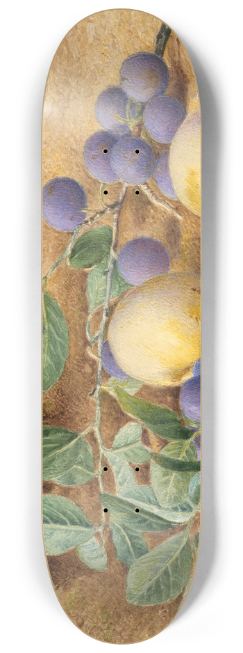 John William Hill - Plums 8.25 inch art skate deck