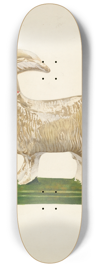 John W. Kelleher - Goat 8.25 inch art skate deck