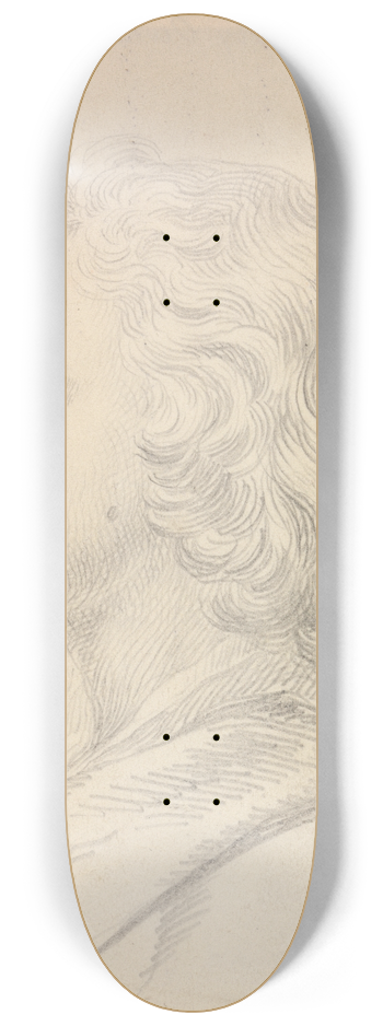 Jonathan Richardson the Elder - Jonathan Richardson, Junior 8.25 inch art skate deck