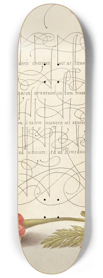 Joris Hoefnagel - French Marigold 8.25 inch art skate deck