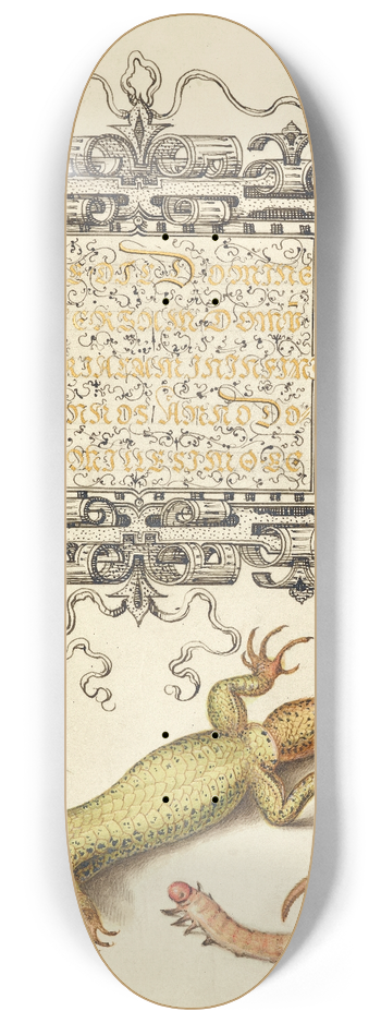 Joris Hoefnagel - Scorpionfly, Insect, Lizard, and Insect Larva 8.25 inch art skate deck