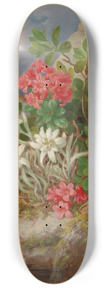 Josef Lauer - Alpine Flowers 8.25 inch art skate deck