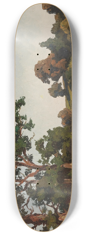 Josef Willroider - Am Feld 8.25 inch art skate deck