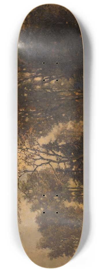 Joseph Lies - Landscape 8.25 inch art skate deck