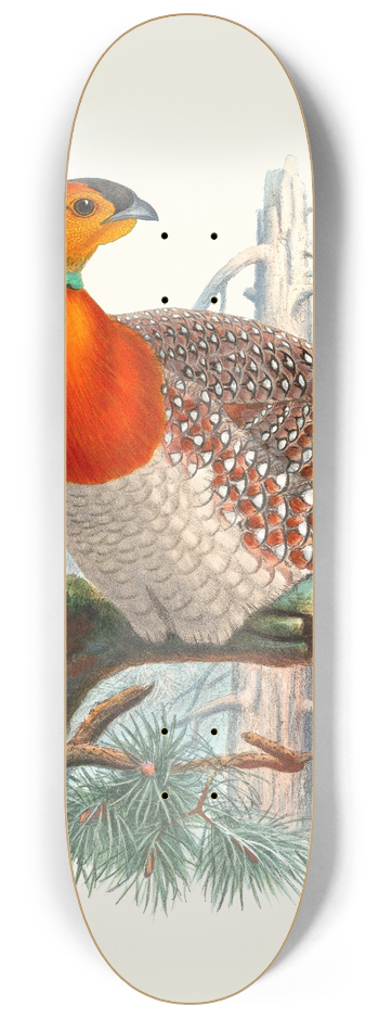 Joseph Smit - Ceriornis Blythii. 8.25 inch art skate deck