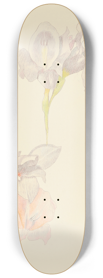 Joseph Stella - Gladioli 8.25 inch art skate deck