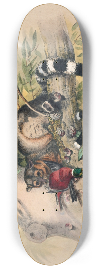 Joseph Wolf - The Bassaris 8.25 inch art skate deck