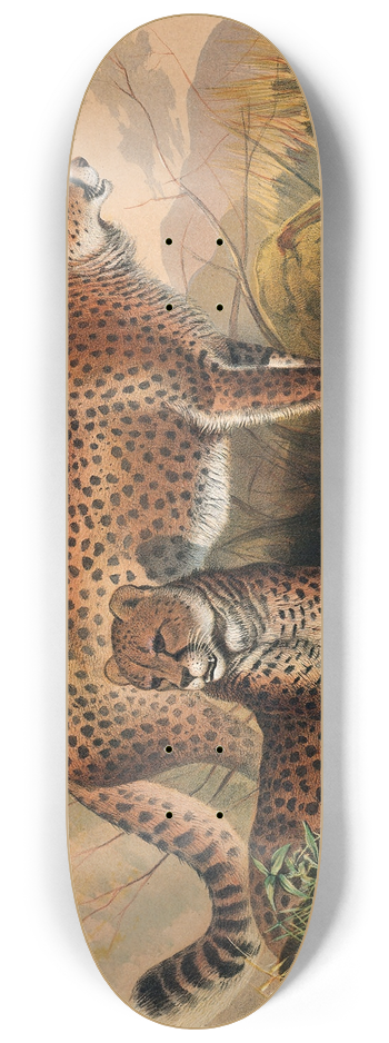 Joseph Wolf - The Cheetah 8.25 inch art skate deck