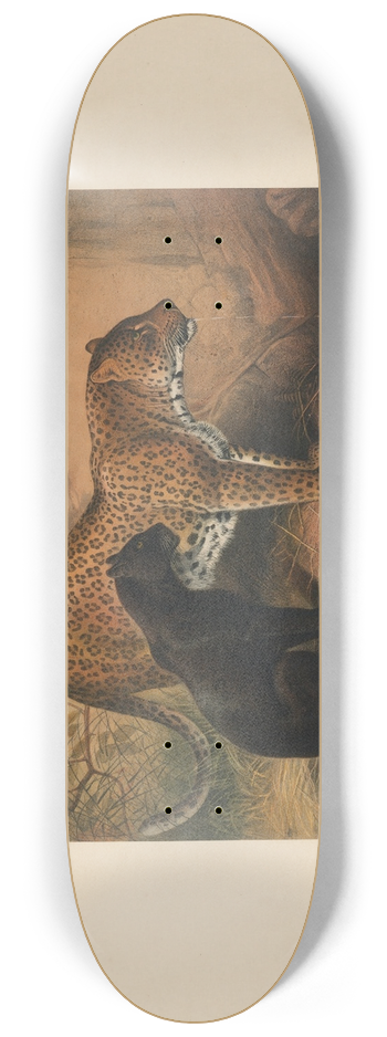 Joseph Wolf - The Leopard 8.25 inch art skate deck