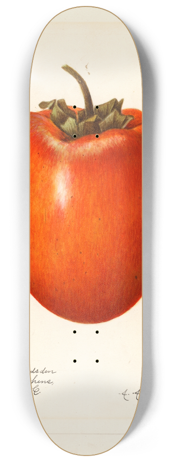 Amanda Almira Newton - Diospyros: Hachiya 8.25 inch art skate deck