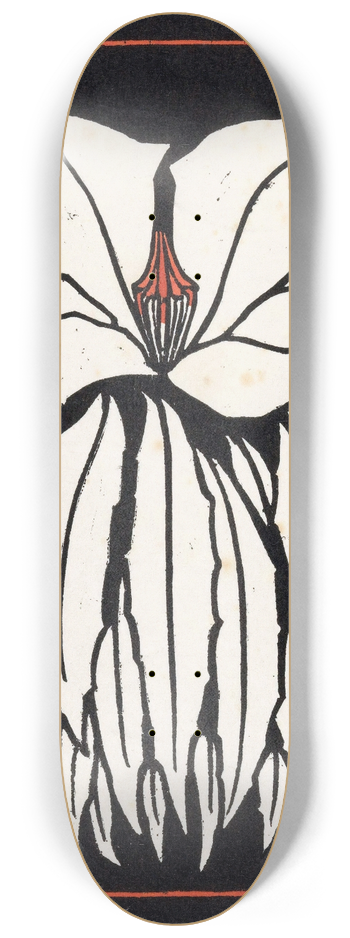Julie de Graag - Godetia 8.25 inch art skate deck