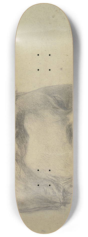 Julius Hamel - Girls head. 8.25 inch art skate deck