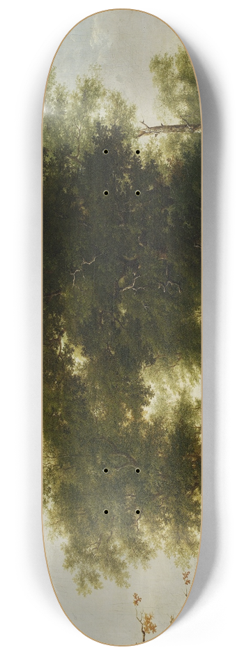 Kazimierz wan - Forest landscape 8.25 inch art skate deck