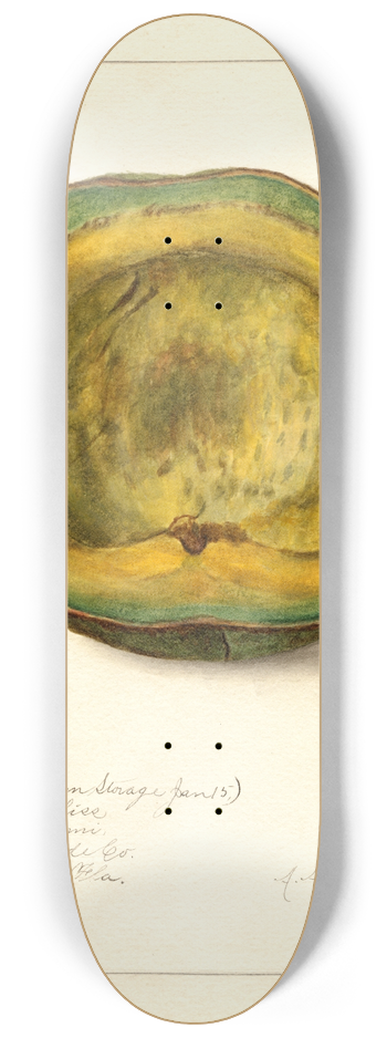 Amanda Almira Newton - Persea: Trapp 8.25 inch art skate deck