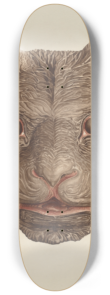 Laura Bilodeau - Bears Head 8.25 inch art skate deck