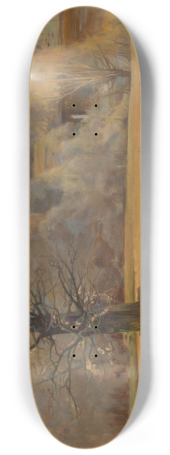 Leon Szpdrowski - Park fragment 8.25 inch art skate deck