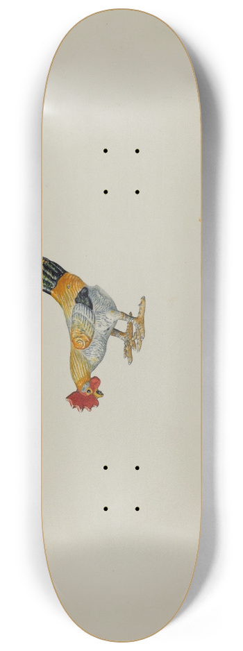 Lillian Hunter - Toy Rooster 8.25 inch art skate deck