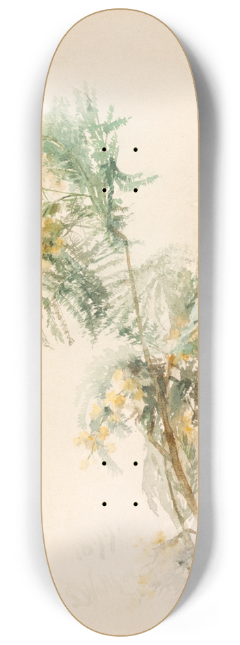 Lilly Walther - Mimoosid 8.25 inch art skate deck