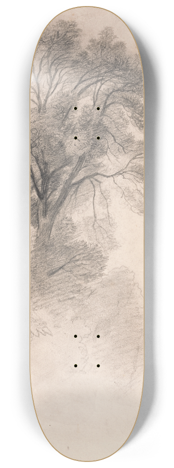 Lionel Constable - Study of Ash Trees 8.25 inch art skate deck