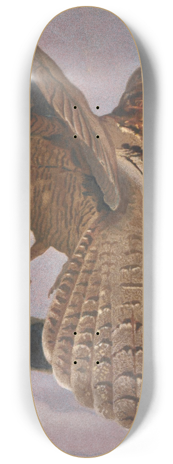 Lo-Paul Robert - Engoulevent 8.25 inch art skate deck