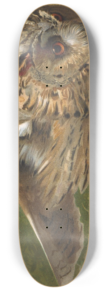 Lo-Paul Robert - Hibou 8.25 inch art skate deck