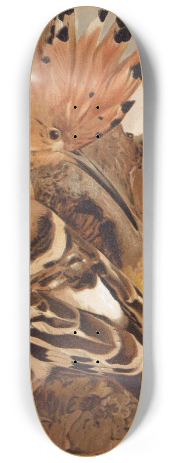 Lo-Paul Robert - Huppe 8.25 inch art skate deck